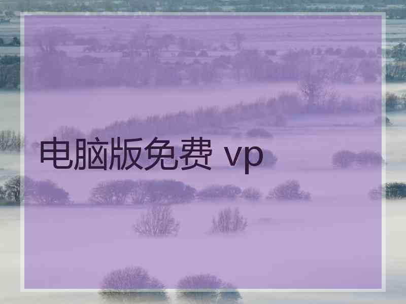 电脑版免费 vp