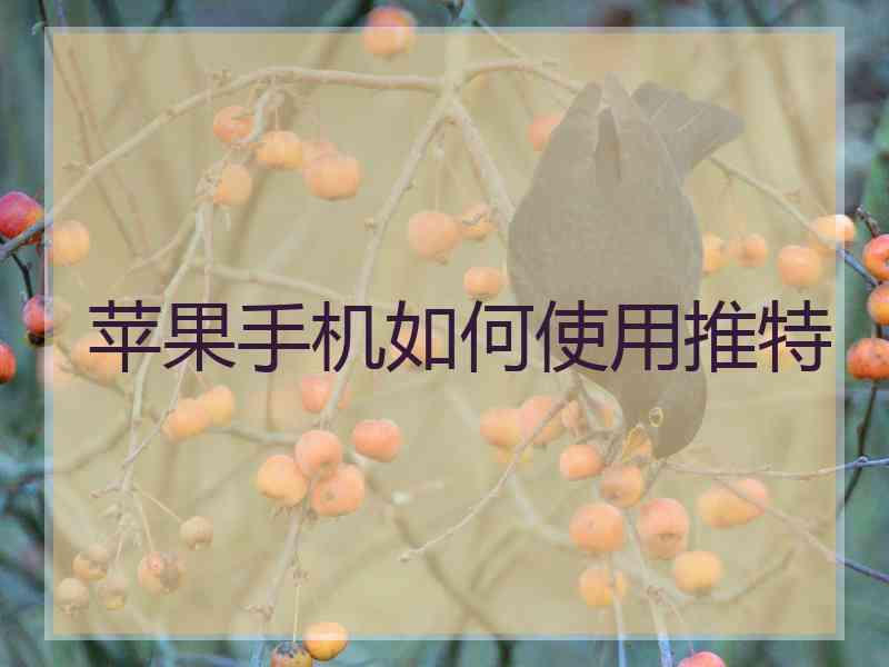 苹果手机如何使用推特