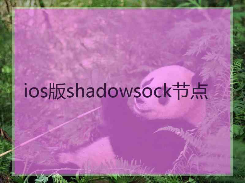 ios版shadowsock节点