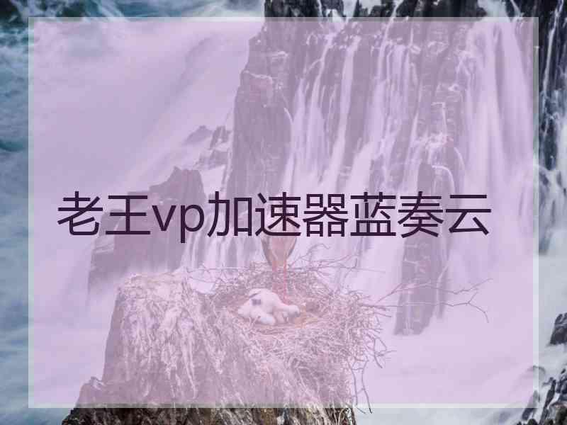 老王vp加速器蓝奏云