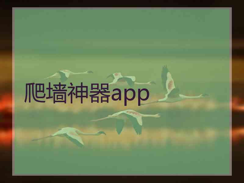 爬墙神器app