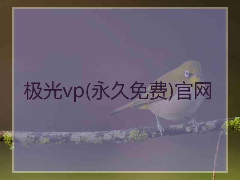 极光vp(永久免费)官网