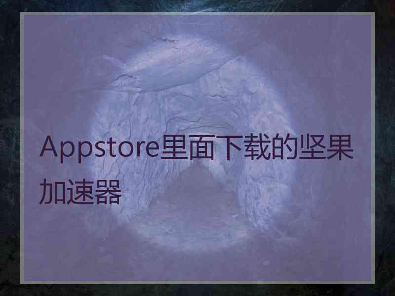 Appstore里面下载的坚果加速器