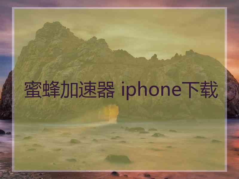 蜜蜂加速器 iphone下载