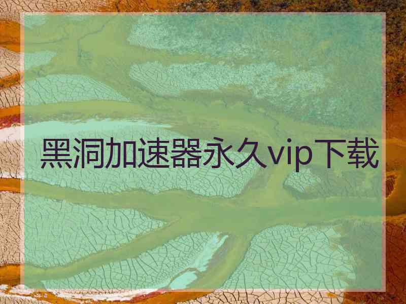 黑洞加速器永久vip下载