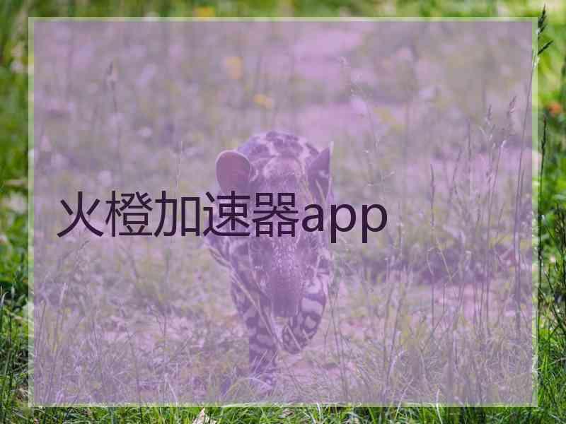 火橙加速器app