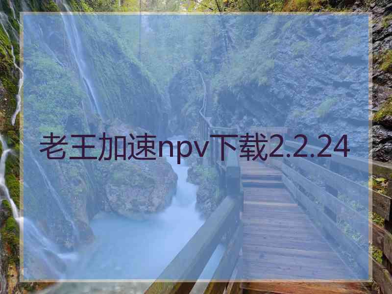 老王加速npv下载2.2.24