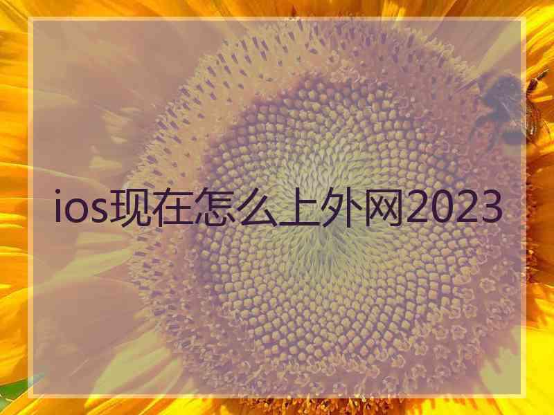 ios现在怎么上外网2023