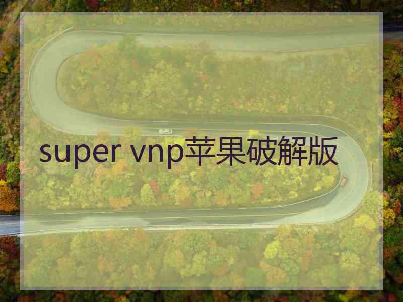 super vnp苹果破解版