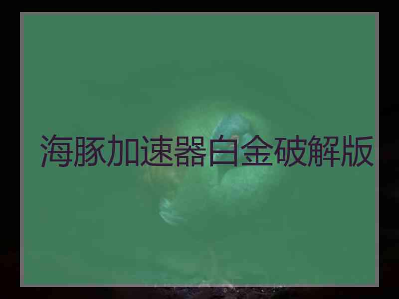 海豚加速器白金破解版