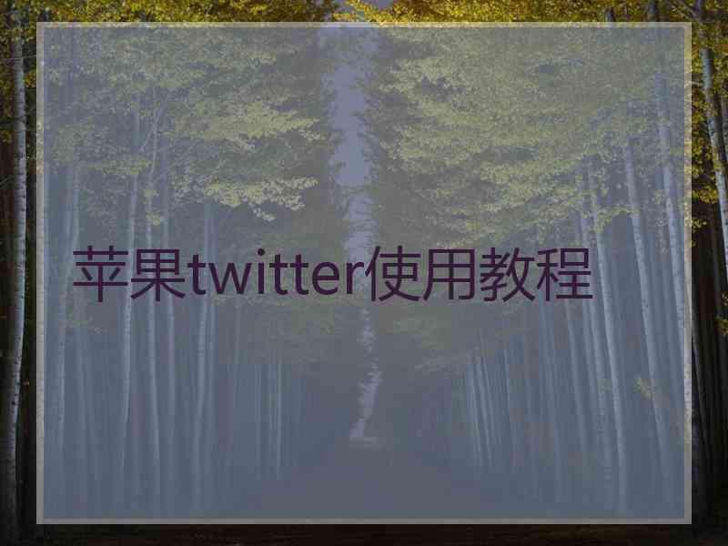 苹果twitter使用教程