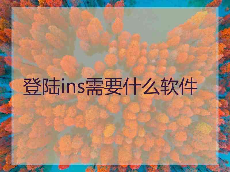 登陆ins需要什么软件