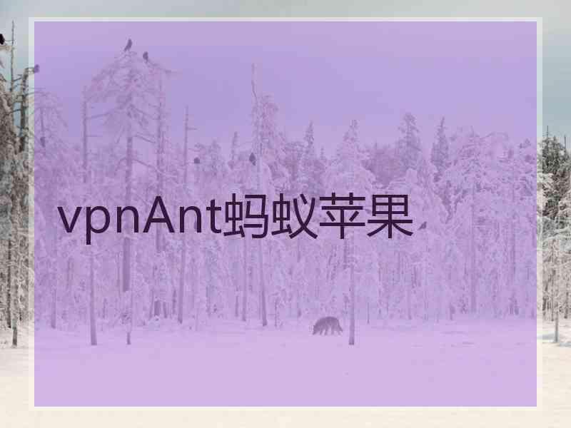 vpnAnt蚂蚁苹果