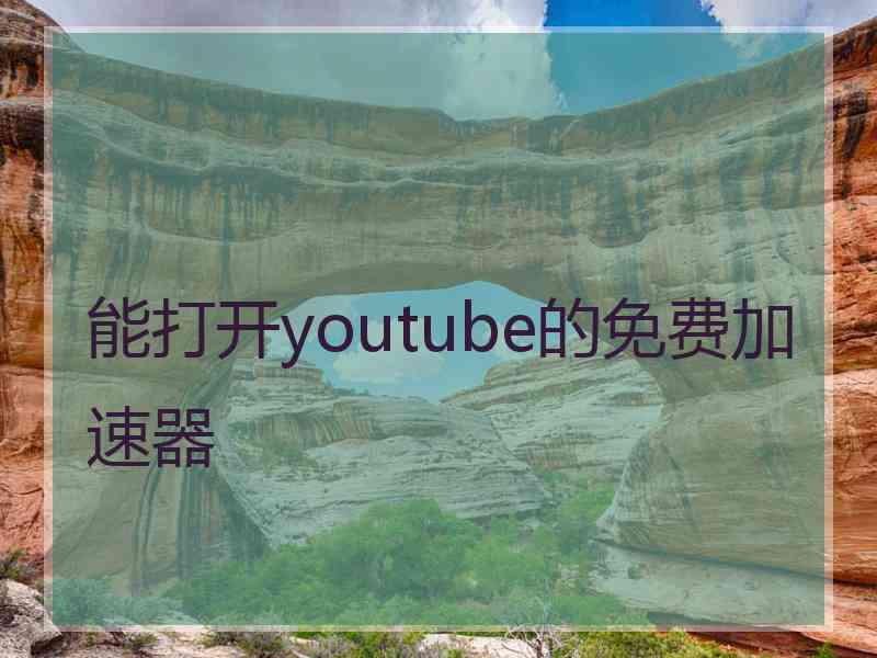 能打开youtube的免费加速器