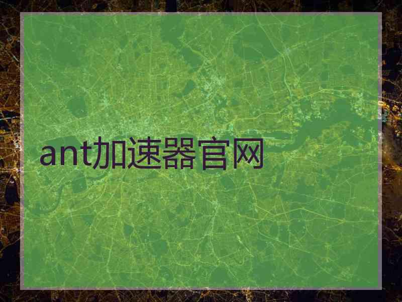 ant加速器官网