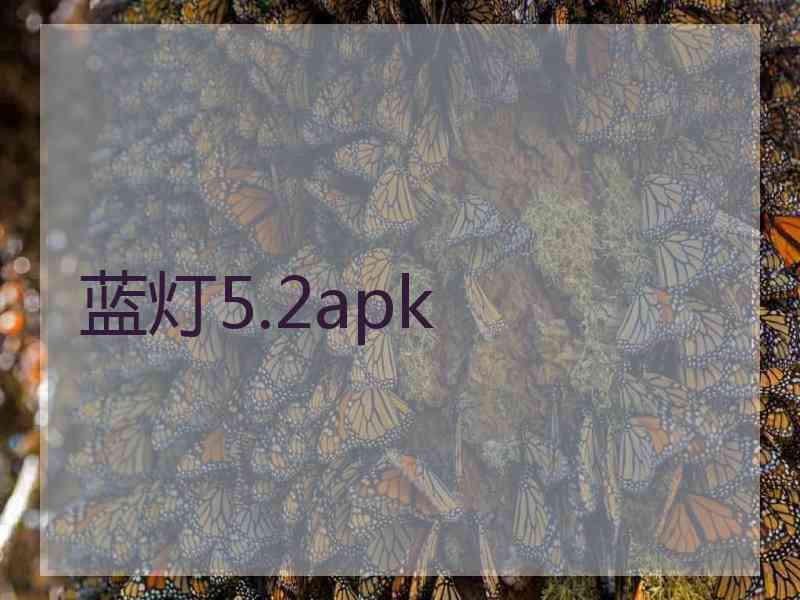 蓝灯5.2apk