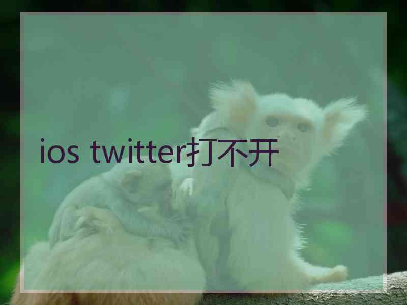 ios twitter打不开