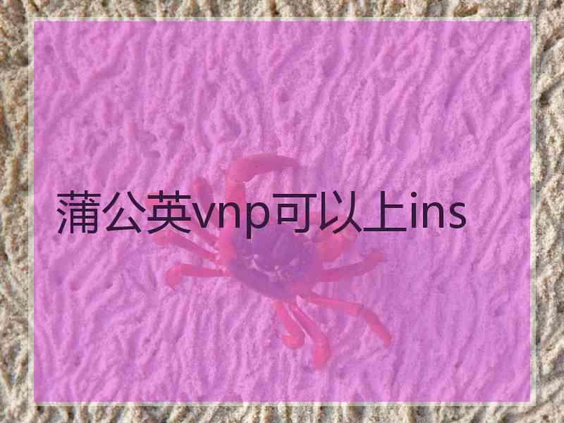 蒲公英vnp可以上ins