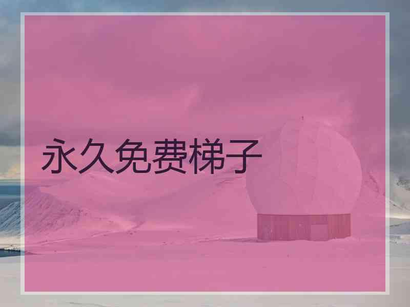 永久免费梯子