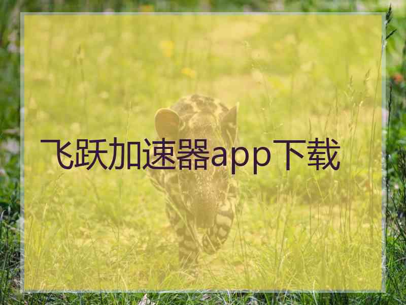 飞跃加速器app下载