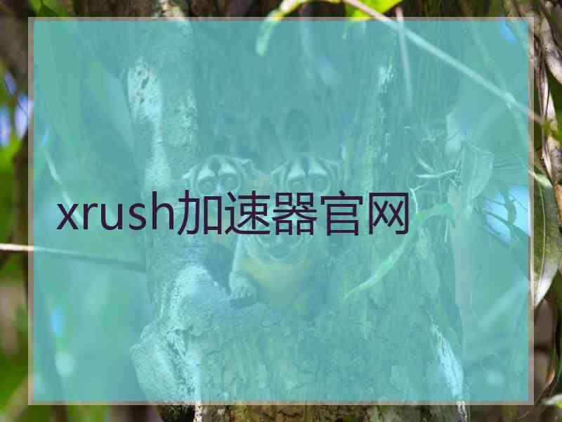 xrush加速器官网