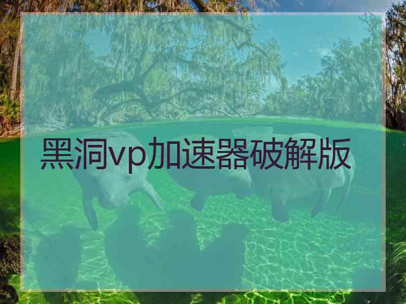 黑洞vp加速器破解版