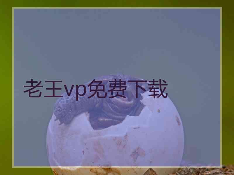 老王vp免费下载