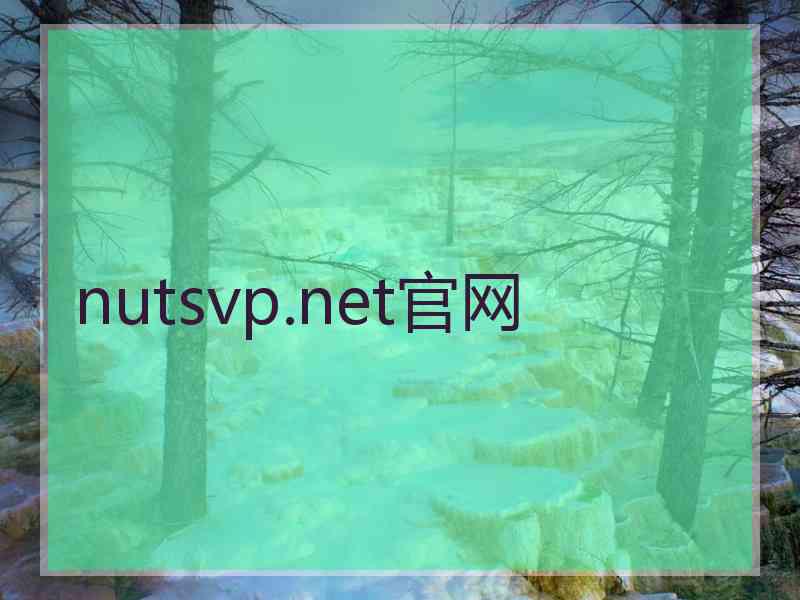 nutsvp.net官网