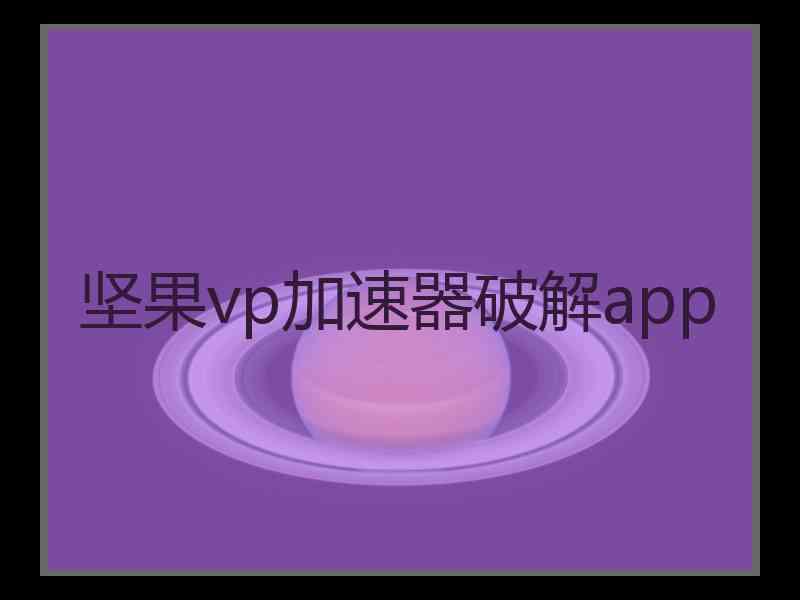 坚果vp加速器破解app