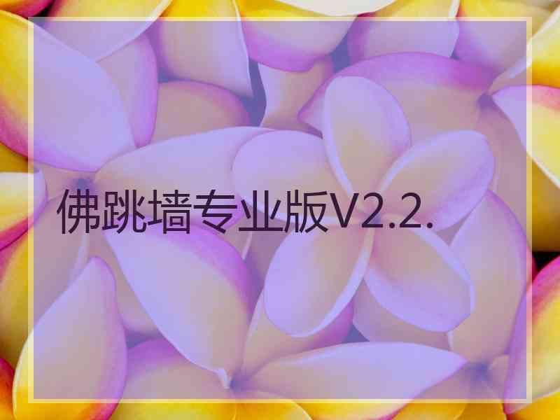 佛跳墙专业版V2.2.