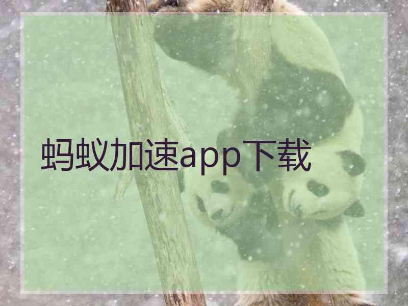 蚂蚁加速app下载