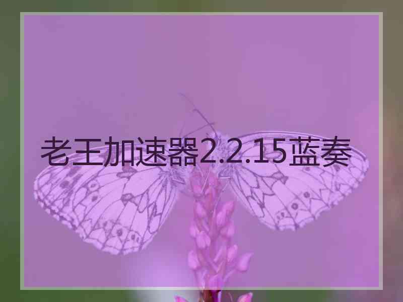 老王加速器2.2.15蓝奏