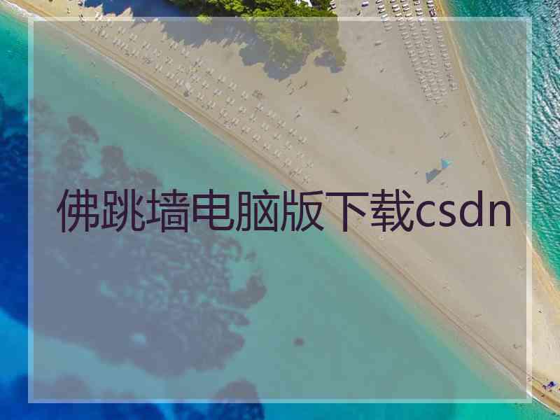 佛跳墙电脑版下载csdn