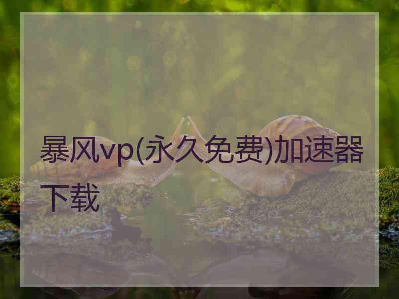 暴风vp(永久免费)加速器下载