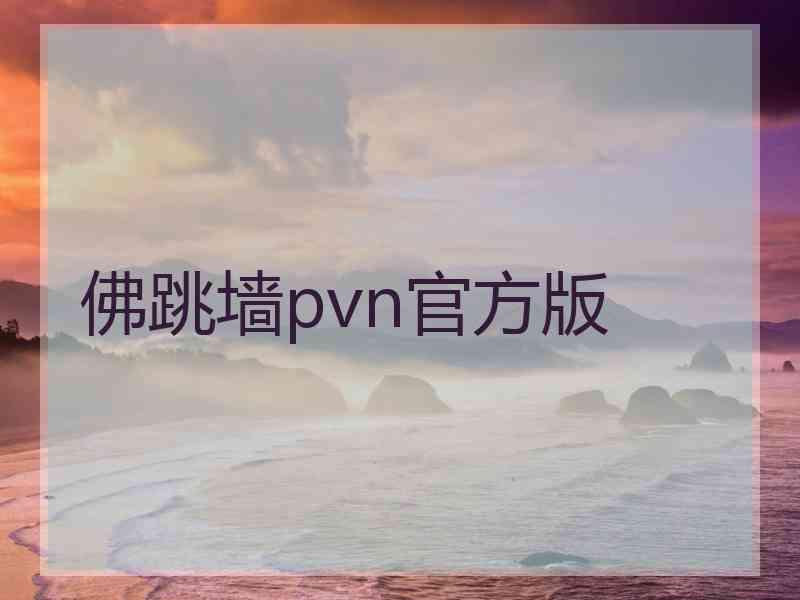 佛跳墙pvn官方版