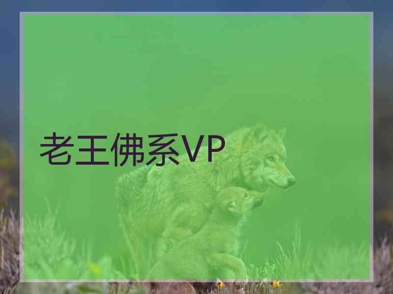 老王佛系VP