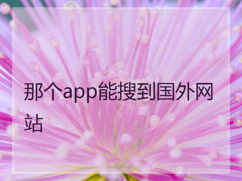 那个app能搜到国外网站