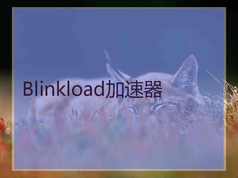 Blinkload加速器