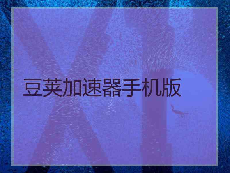 豆荚加速器手机版