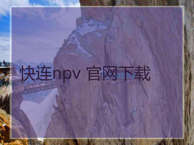 快连npv 官网下载