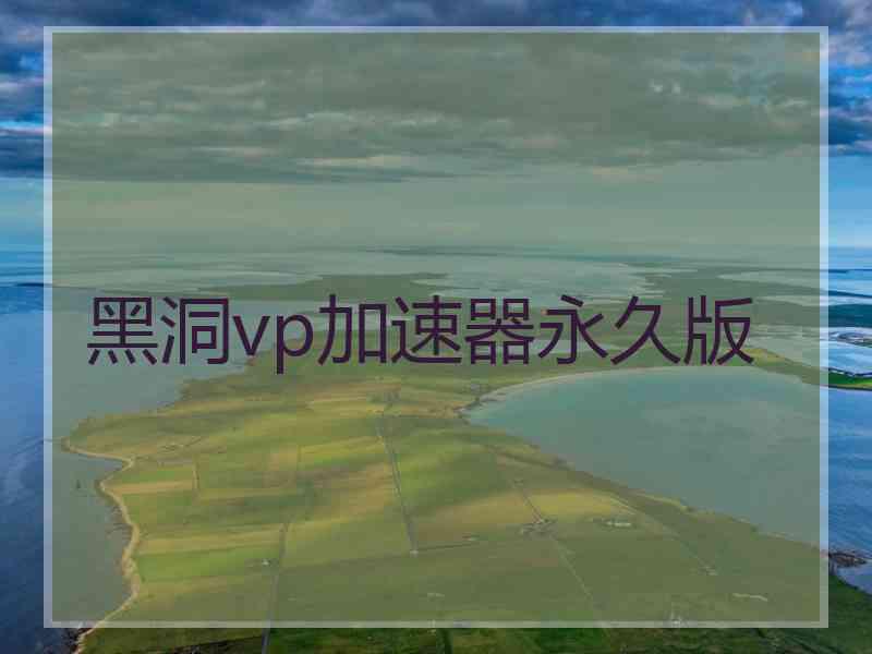 黑洞vp加速器永久版