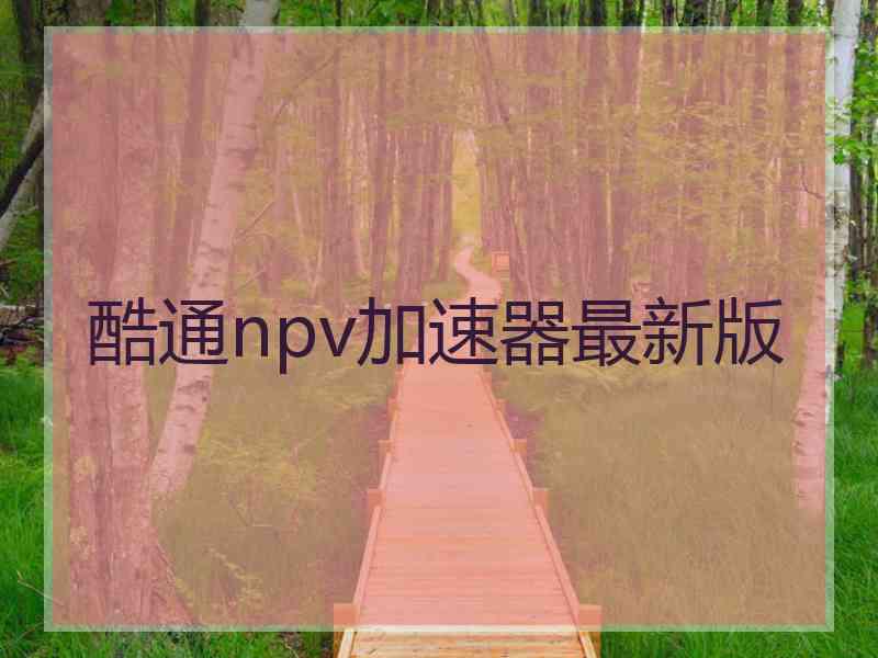 酷通npv加速器最新版