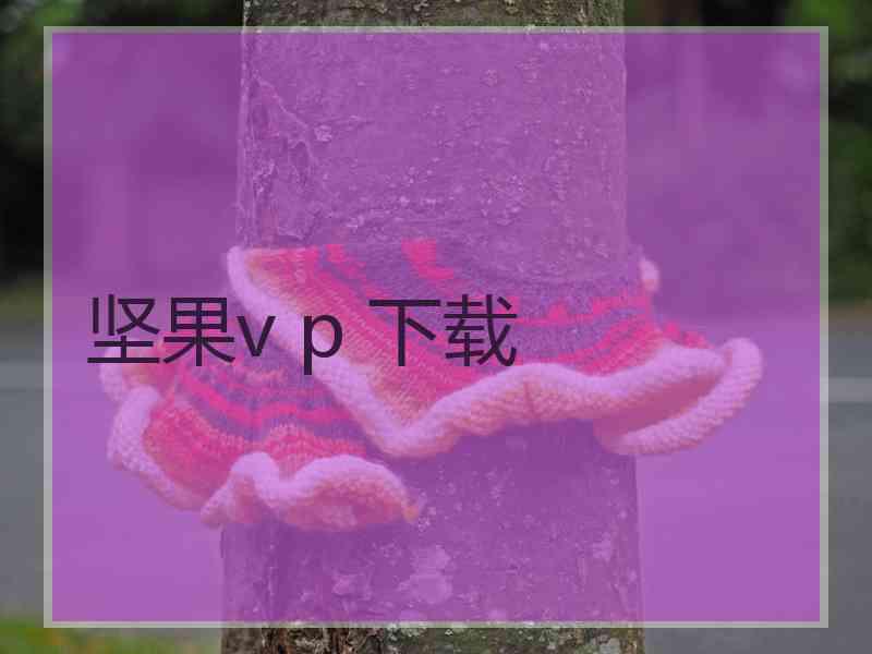 坚果v p 下载