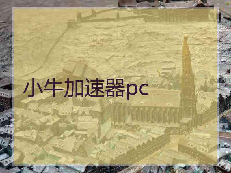 小牛加速器pc