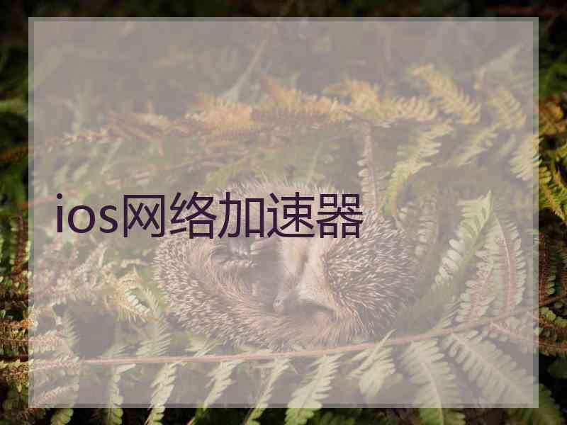 ios网络加速器