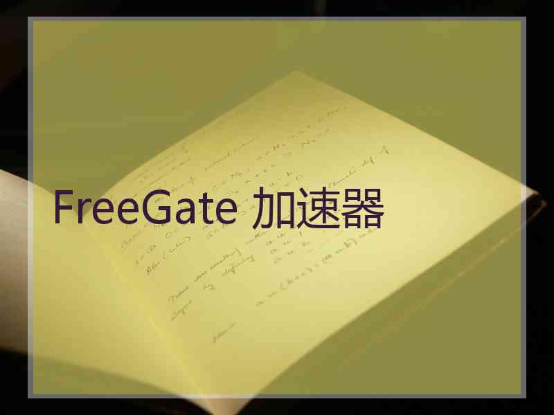 FreeGate 加速器