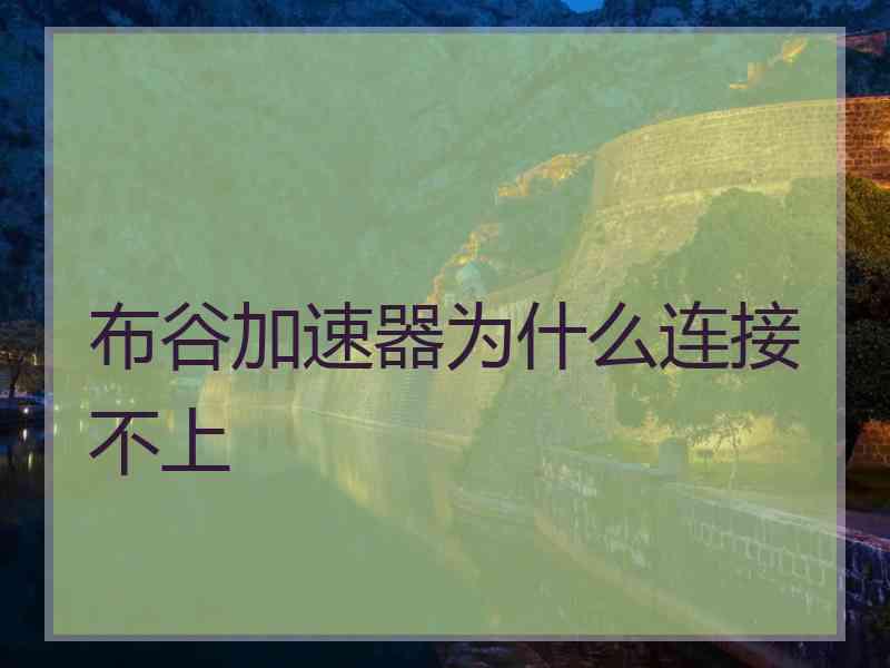 布谷加速器为什么连接不上