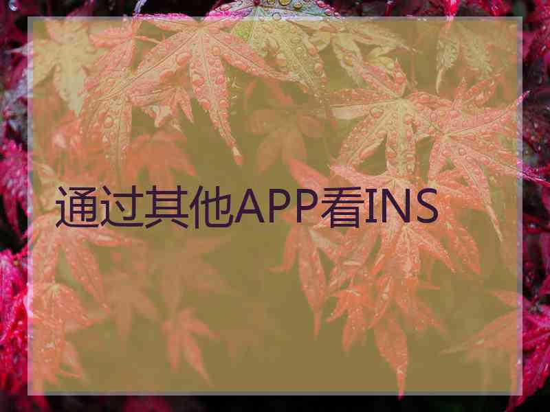 通过其他APP看INS