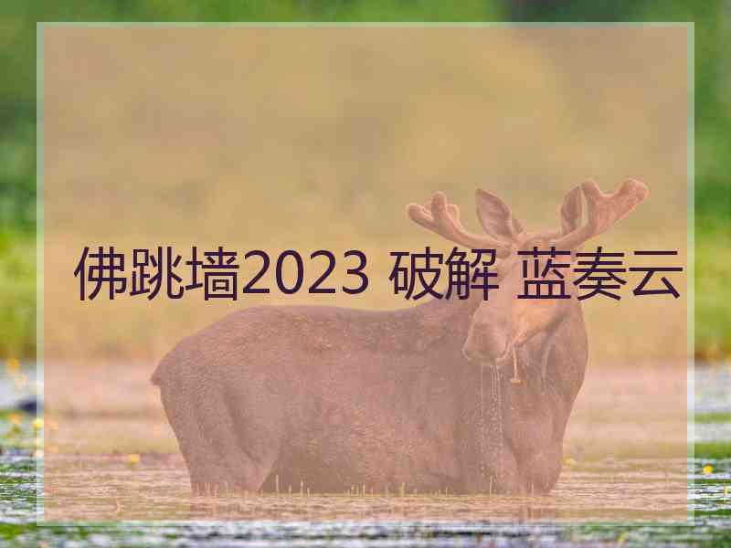 佛跳墙2023 破解 蓝奏云