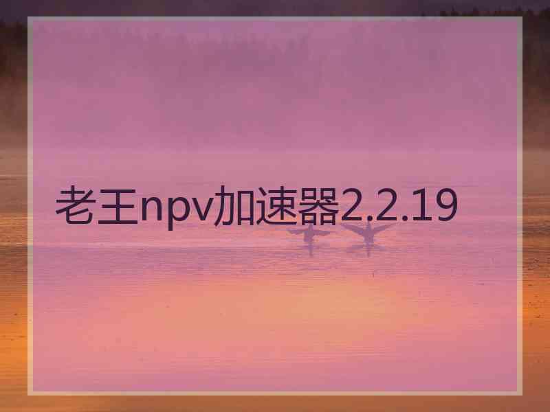 老王npv加速器2.2.19